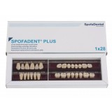 Spofadent Plus (С3) 1/47-0/6-1/72