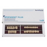 Spofadent Plus (В4) 52-0/5-1/60