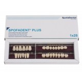 Spofadent Plus (В2) 52-0/5-1/60