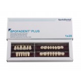 Spofadent Plus (А3) 59-0/8-77N