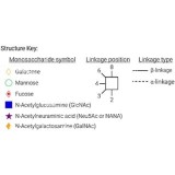 AdvanceBio 2-AB Man3F / FM3 N-гликановый стандарт (ранее ProZyme)