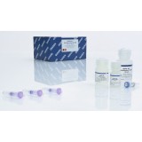 Набор MinElute Gel Extraction Kit для выделения ДНК из геля(250 реакций)