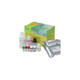 Набор ИФА Platelia® Rabies II Kit для обнаружения и титрования антител к вирусу бешенства в крови животных, 192 теста(2 планшета)