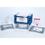 Набор для исследования Y-хромосомы Investigator Argus Y-28 QS Kit(400 реакций)