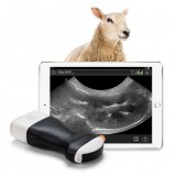 Портативный ветеринарный ультразвуковой сканер C3 HD Vet